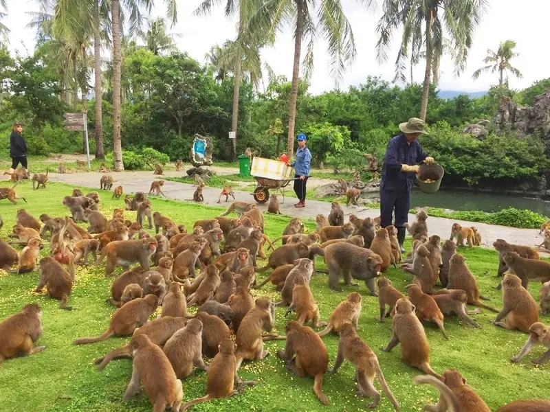 du-lich-nha-trang-cuoi-nam