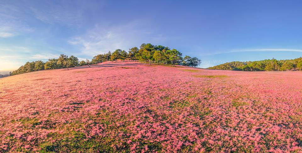 tham-quan-da-lat