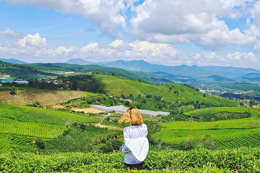 7 Điểm Check-in Tại Đà Lạt Cho Ngày Cuối Tuần Thêm Thú Vị