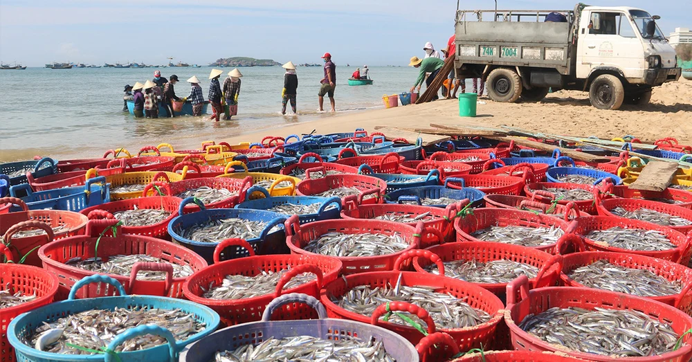 Ghé Chợ Phan Thiết Khám Phá Văn Hóa, Ẩm Thực Đặc Sắc