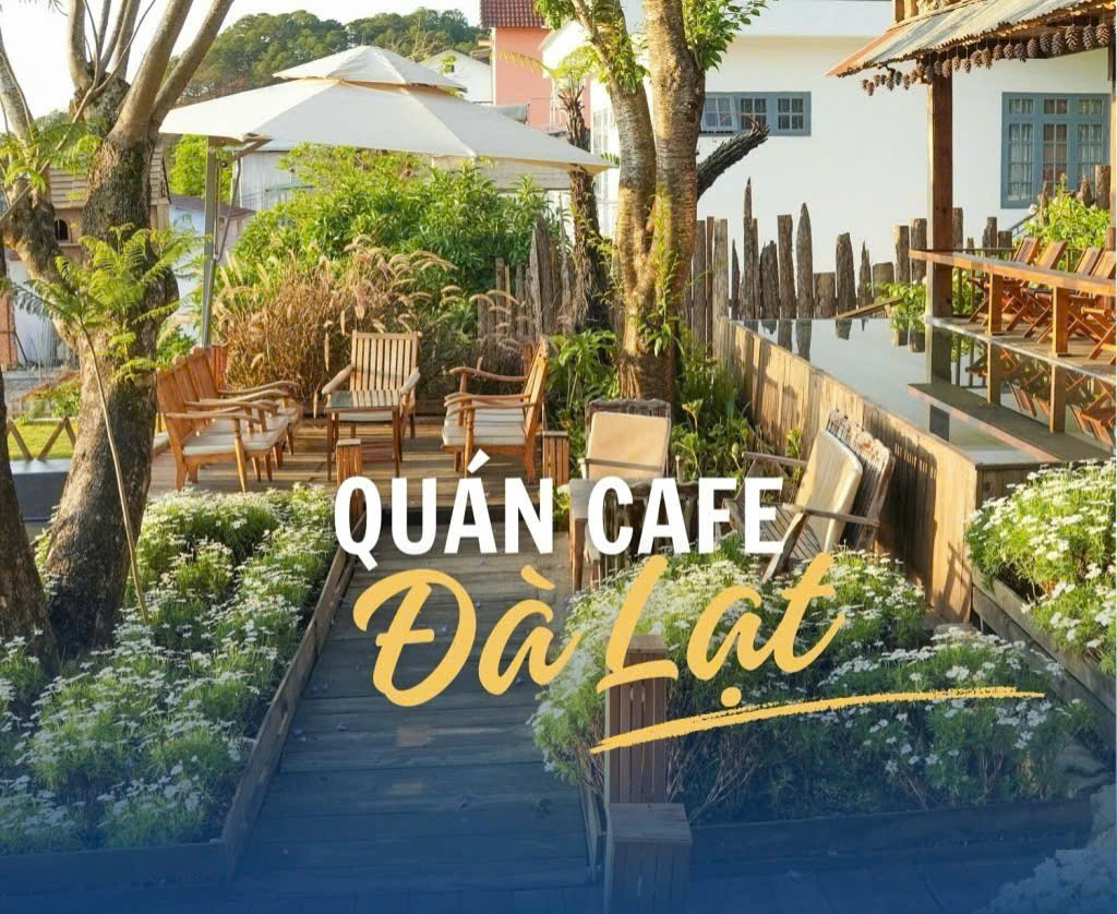 Check-in Đà Lạt: Top Quán Cà Phê View Đẹp