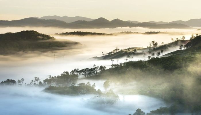 Săn Mây Đà Lạt Tháng 3: Thời Gian & Địa Điểm