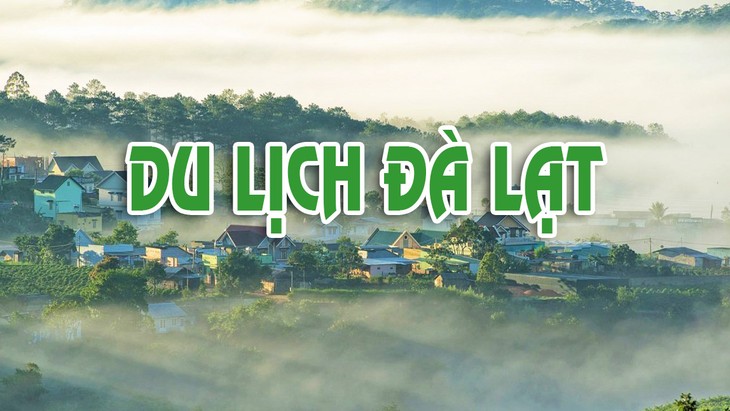 Lịch Trình Du Lịch Đà Lạt 3N2Đ Chi Tiết